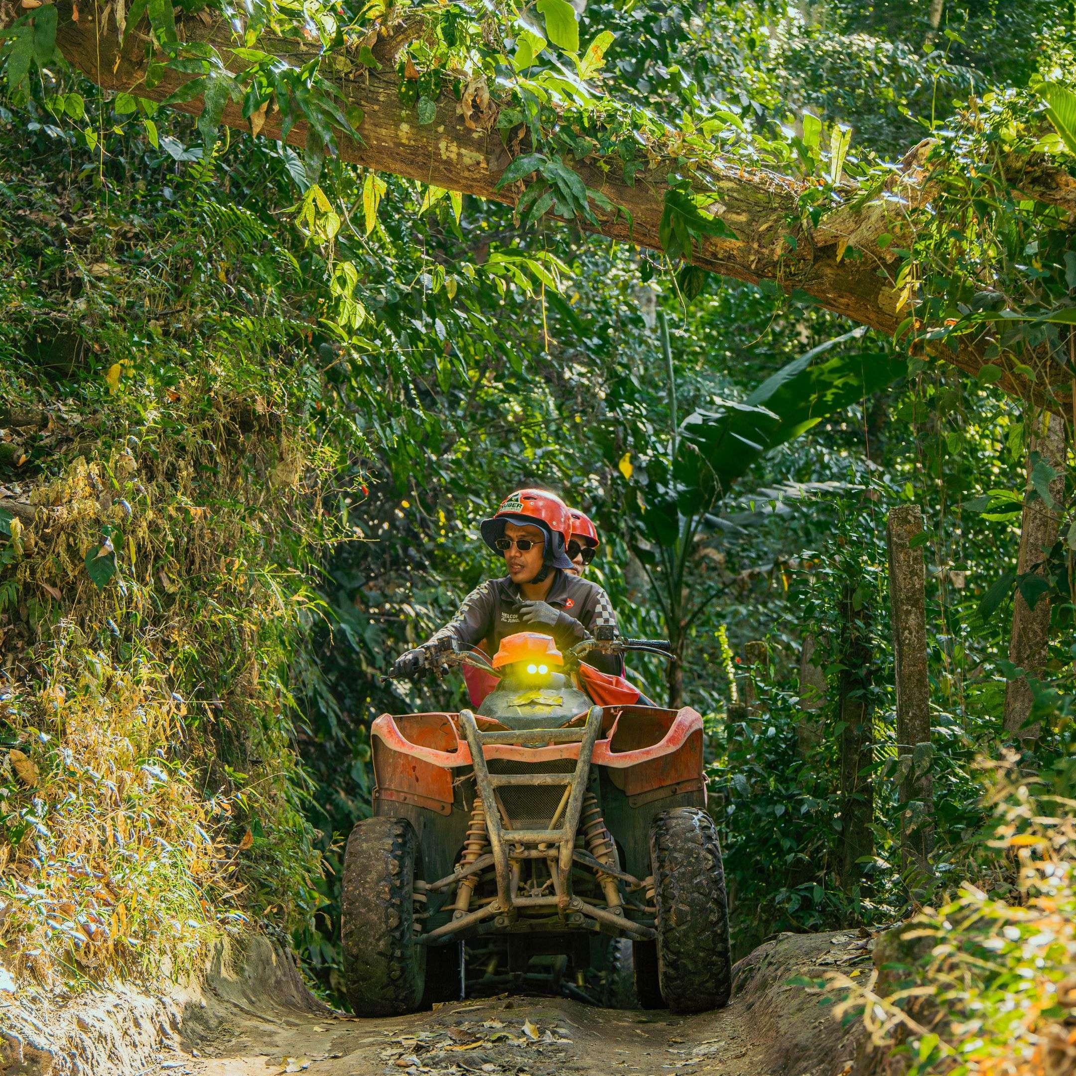 ATV quad bikes riding a jungle trail in Bali
